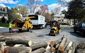 Best Tree Risk Assessment  in Montgomery, TX