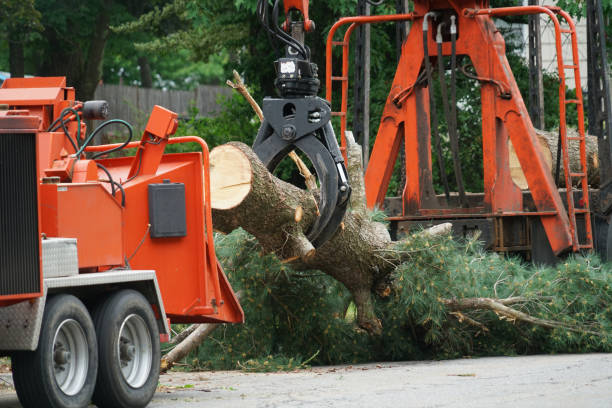 Lawn Drainage Solutions in Montgomery, TX